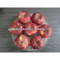 Frische Huaniu Apfel 100-125 18kg
